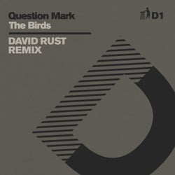 The Birds (David Rust Remix) - D1