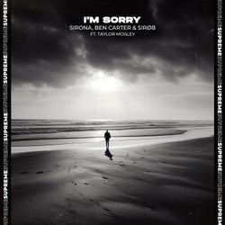 Im Sorry (Extended Mix)