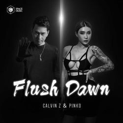 Flush Down (Original Mix)