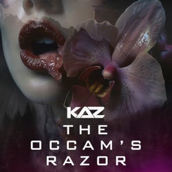 The Occam's Razor