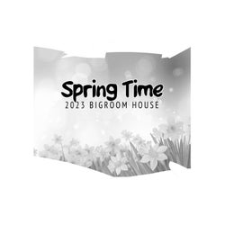 Spring Time - 2023 Bigroom House