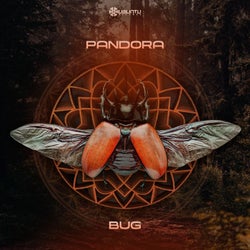 Bug