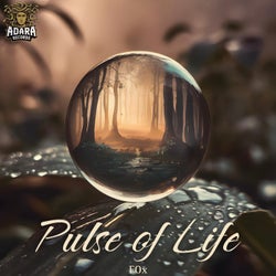 Pulse of Life