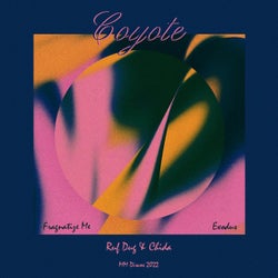 Exodus / Fragnatize Me (Ruf Dug & Chida Remixes)