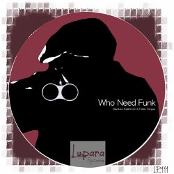 Who Need Funk