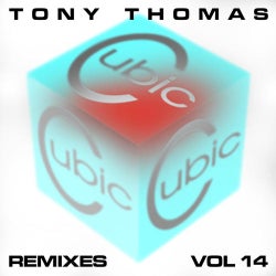 T T Remixes Volume 14