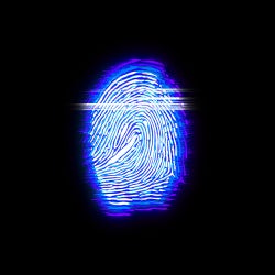 Identity Records UK