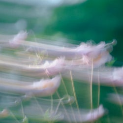 Soft Touch
