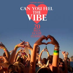 Can You Feel the Vibe (20 Ibiza House Classics)