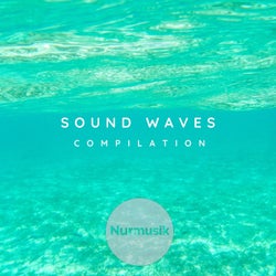 Sound Waves