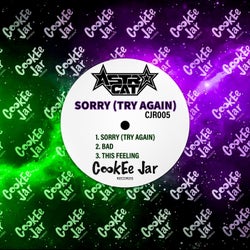 Sorry (Try Again) [Original Mix]