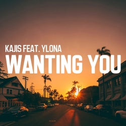 Wanting You - Extended Mix