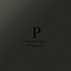 How High Can A Pigeon Fly