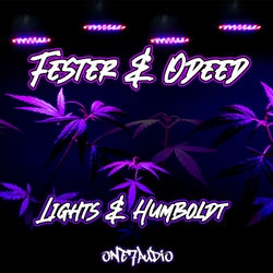 Lights & Humboldt