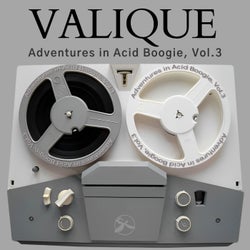Adventures in Acid Boogie, Vol. 3