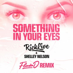 Something In Your Eyes (Flava D Remix)