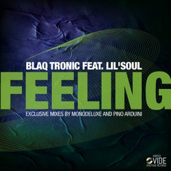 Feelings (feat. Lil'Soul)