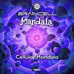 Cellular Mandala