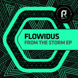 From the Storm EP