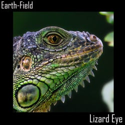 Lizard Eye