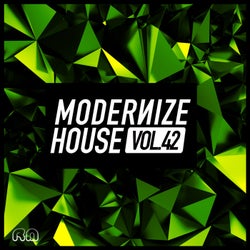 Modernize House Vol. 42