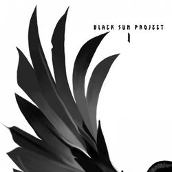 Black Sun Project 1