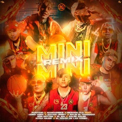 Mini Mini (feat. Jairo Vera, Sayian Jimmy, Balbi El Chamako, Son Gotten, El BAI, Galee Galee, Nysix Music, El Goldo De Las Conec) (Remix)