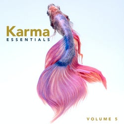 Karma Essentials, Vol. 5