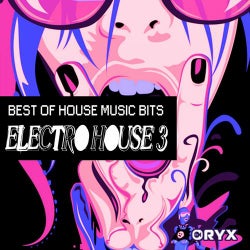 Best of House Music Bits - Electro House 3
