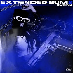 Extended-Bum Vol.2