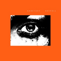 Sky Fall (Extended Mix)