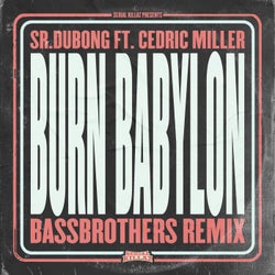 Burn Babylon (BassBrothers Remix)