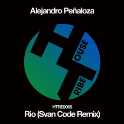Rio (Svan Code Remix)