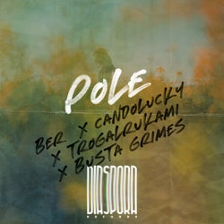 Pole