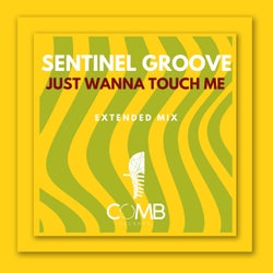 Just Wanna Touch Me (Extended Mix)