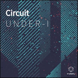 Circuit