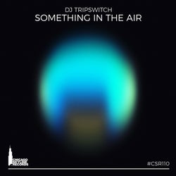 Something In The Air