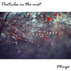 Particles In The Mist