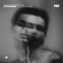 Strangers (Ricii Lompeurs Remix)