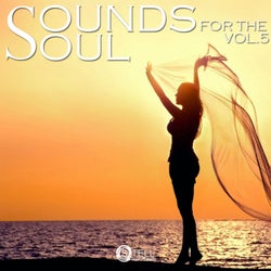 Sounds For The Soul, Vol. 5