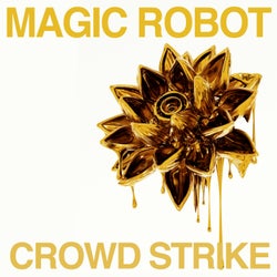 Crowd Strike