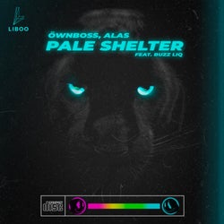 Pale Shelter (Extended)