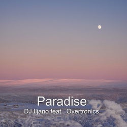 Paradise (feat. Overtronics)