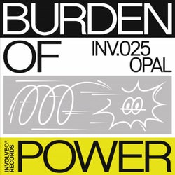 Burden Of Power