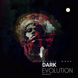 Dark Evolution