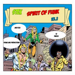 Spirit Of Funk Vol.2