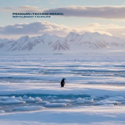 Penguin (Techno Remix)
