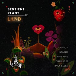 Sentinet Plant