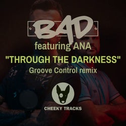 Through The Darkness (Groove Control Remix)