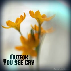 You See Cry